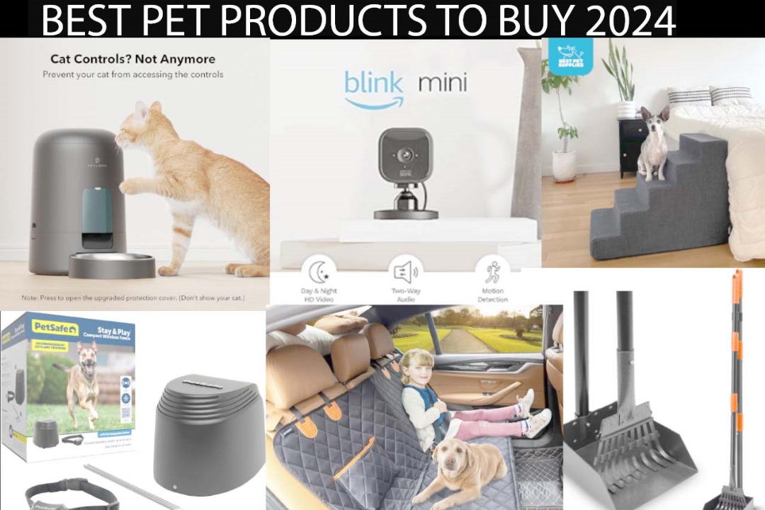 Read more about the article 10 BEST PETS PRODUCTS TO BUY IN 2024